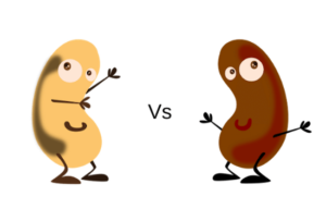 Bean Battle: Pinto vs. Black Beans